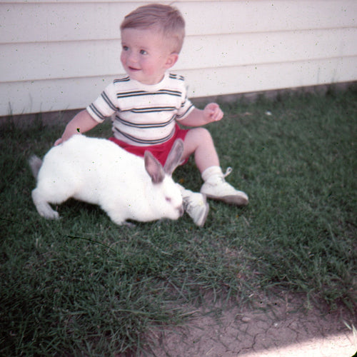 Time Capsule: Colorado Rabbit, 1954