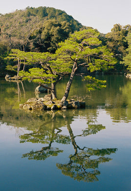 Kyoto